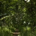 2011-05-09-135728-cote-carriers-OK
