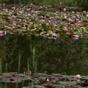 2011-05-09-154652-cote-carriers-OK (1)