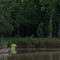 2011-05-09-155251-cote-carriers-OK