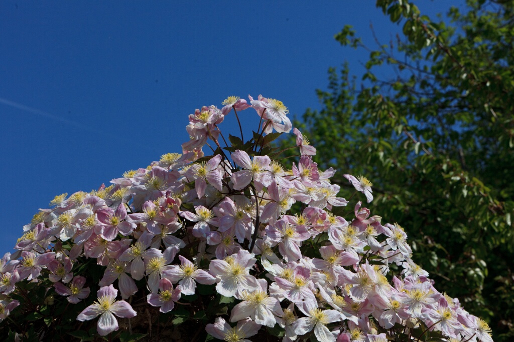 2011-04-19-113038-courdimanche-OK