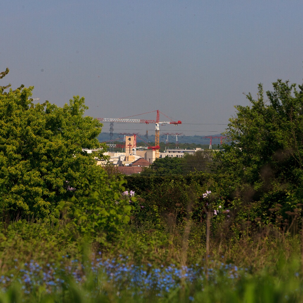 2011-04-19-120201-courdimanche-OK