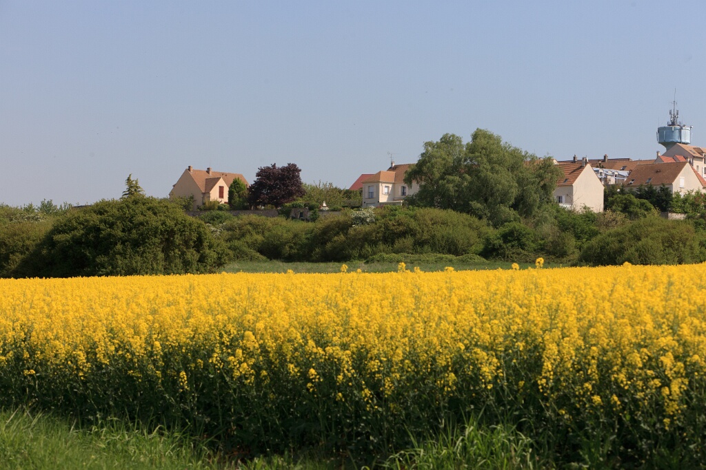 2011-04-19-121929-courdimanche-OK