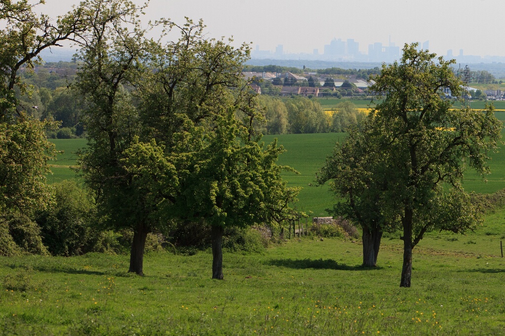 2011-04-19-124513-courdimanche-OK