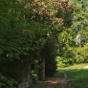 2011-04-22-113446-gency-OK
