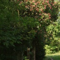 2011-04-22-113609-gency-OK