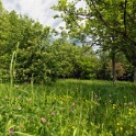 2011-04-27-120453-arboretum-OK