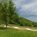 2011-04-27-121022-arboretum-OK