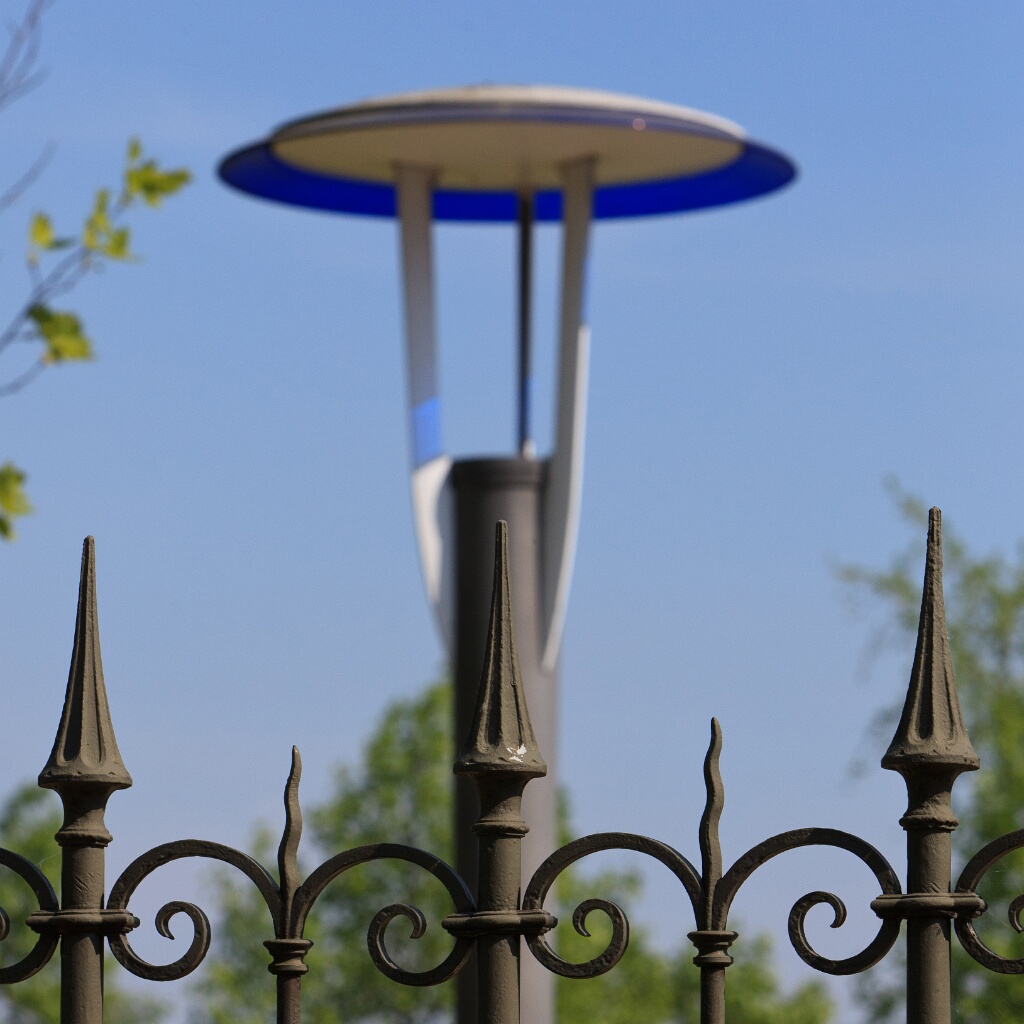 2011-04-25-153202-venus-loup-OK