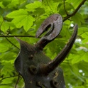 2011-04-27-111642-gphilippe-OK