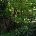 2011-04-27-112827-gphilippe-OK