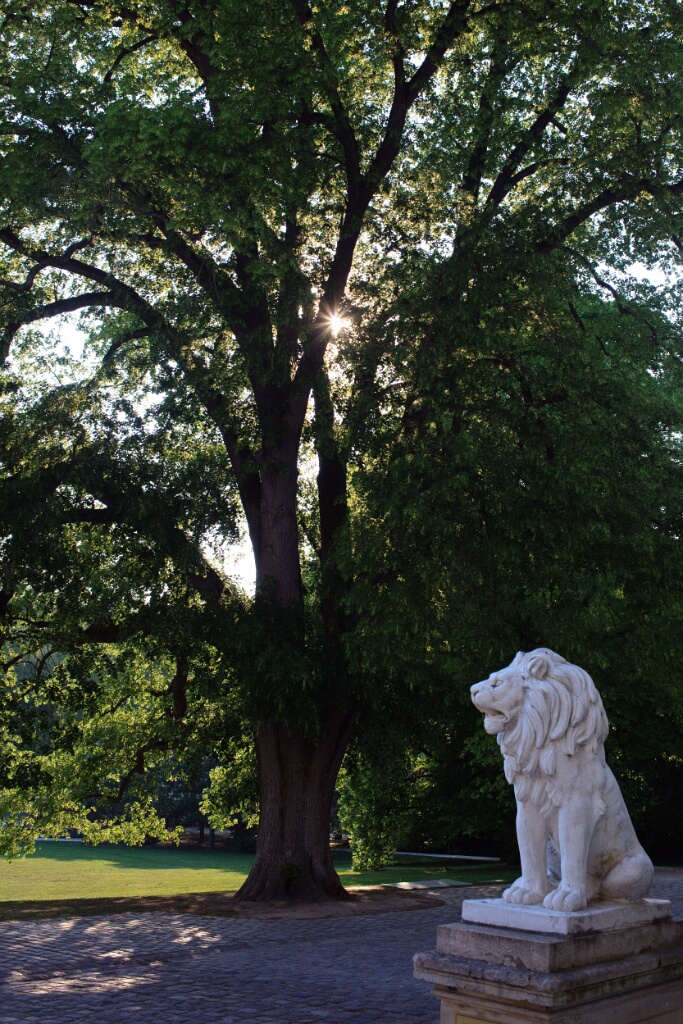 2011-grouchy-OK (34)