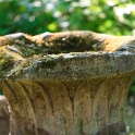 2011-grouchy-OK (31)