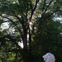 2011-grouchy-OK (34)