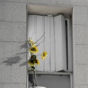 2012-02-07-123113-travaux-chenedor-OK