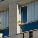 2012-02-07-142400-travaux-chenedor-OK