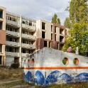 2012-11-05-161634-chene-dor-OK
