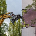 2012-11-05-165110-chene-dor-OK