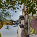 2012-11-05-165132-chene-dor-OK