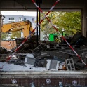 2012-11-05-165417-chene-dor-OK