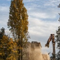 2012-11-08-172908-chene-dor-OK