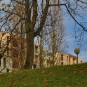 2012-12-10-165718-chene-dor-OK