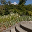2011-08-30-110345-auvers-OK
