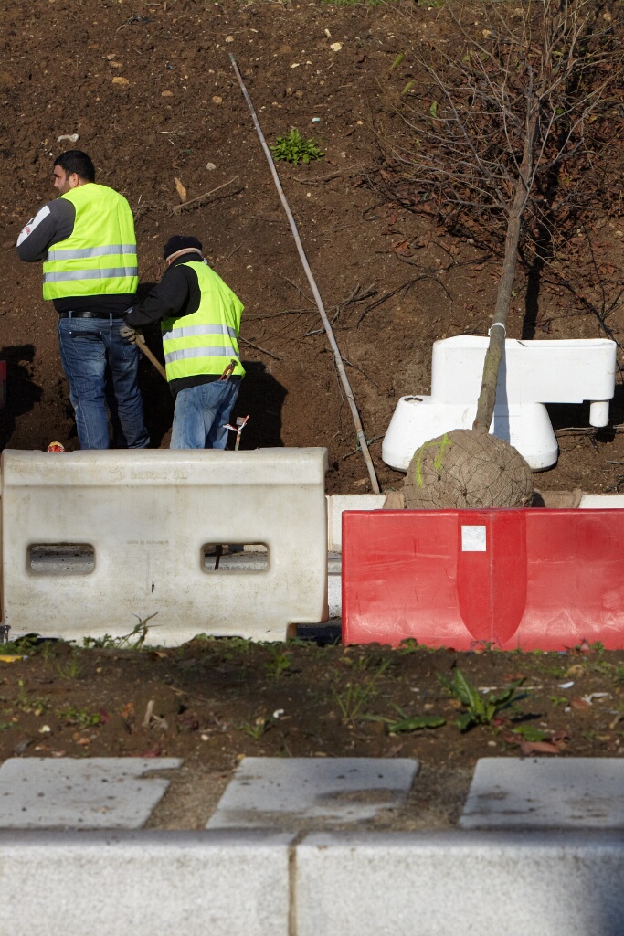 2010-11-24-113928