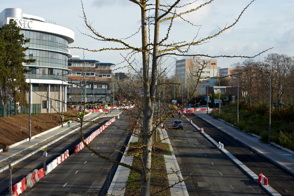 2010-11-24-115458