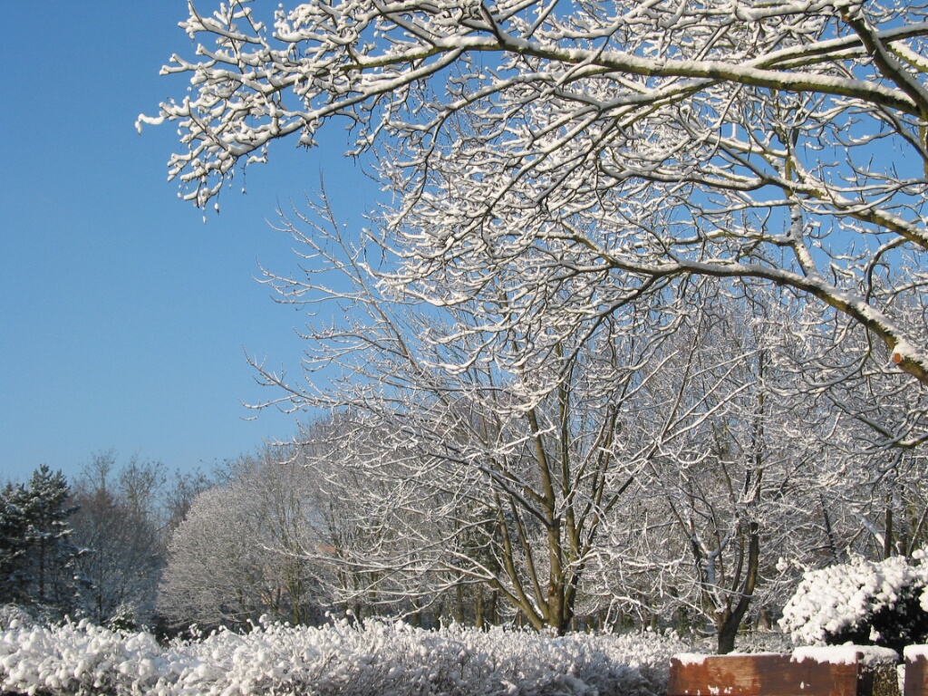2003-hiver-parc-OK (18)