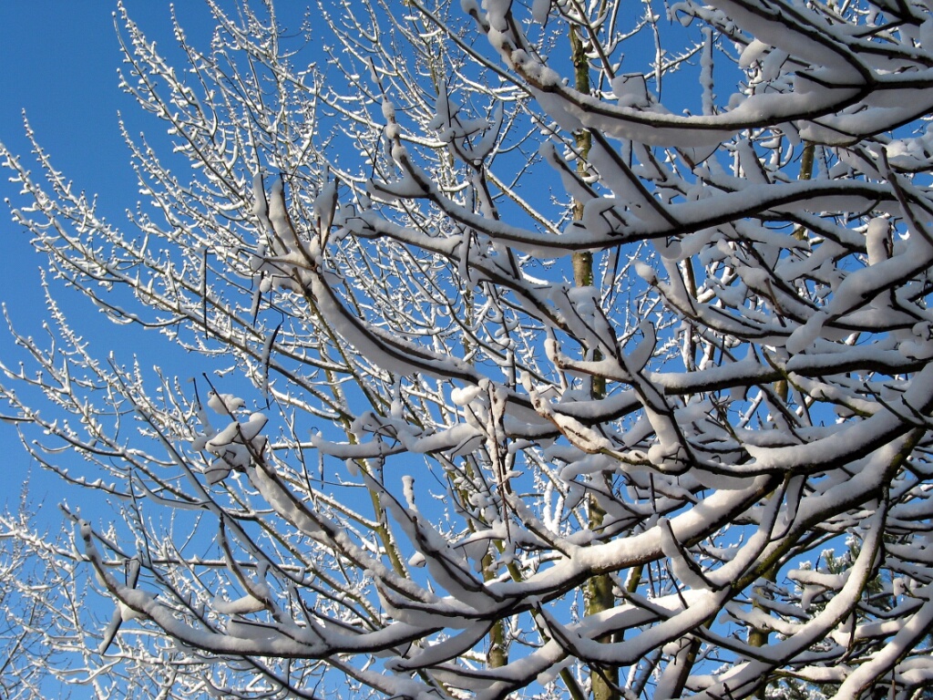 2003-hiver-parc-OK (22)