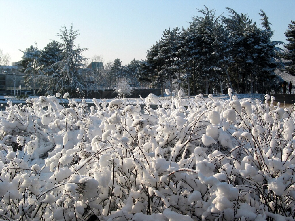 2003-hiver-parc-OK (32)