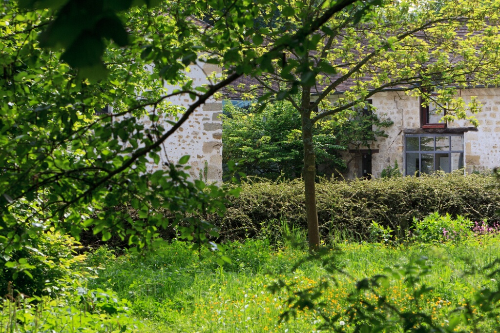 2011-05-03-144242-couleuvre-OK