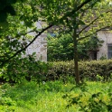 2011-05-03-144242-couleuvre-OK