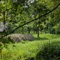 2011-05-03-144253-couleuvre-OK