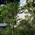 2011-05-03-144621-couleuvre-OK