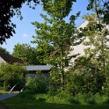2011-05-03-150720-couleuvre-OK