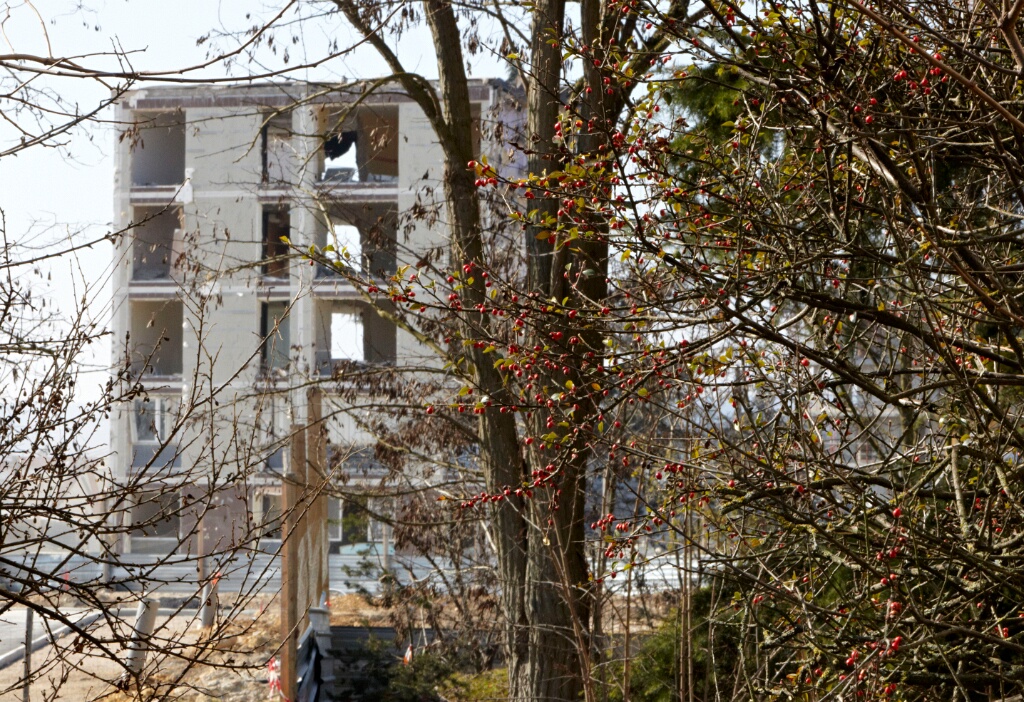 2010-03-croixpetit-OK (10)