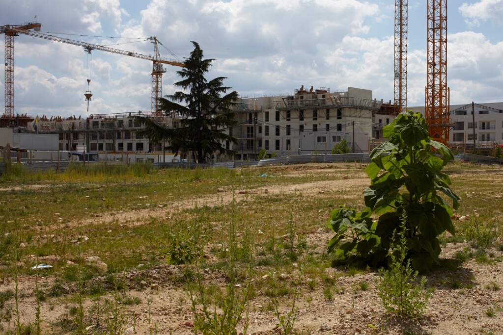 2010-07-30-132515
