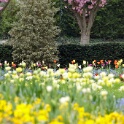 2009-04-pref-OK (14)