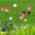 2009-04-pref-OK (6)