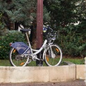 2010-11-24-125758