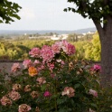 2011-06-23-194440-sundiata-OK