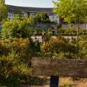 2011-05-03-083744-echiquier-OK