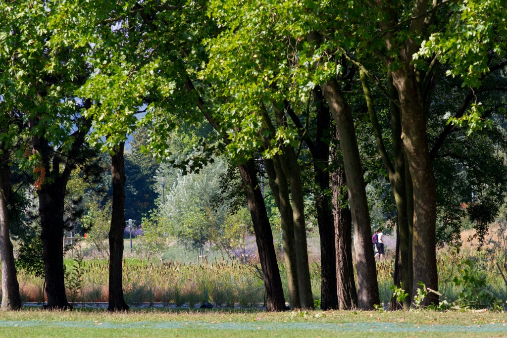 2014-09-09-123133-parc-OK
