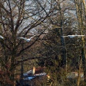 2009-01-neige-OK (16)
