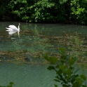 2011-05-15-105549-etangs-OK