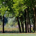 2014-09-09-123133-parc-OK