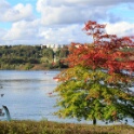 2014-10-14-144243-base