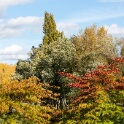 2014-10-14-144423-base