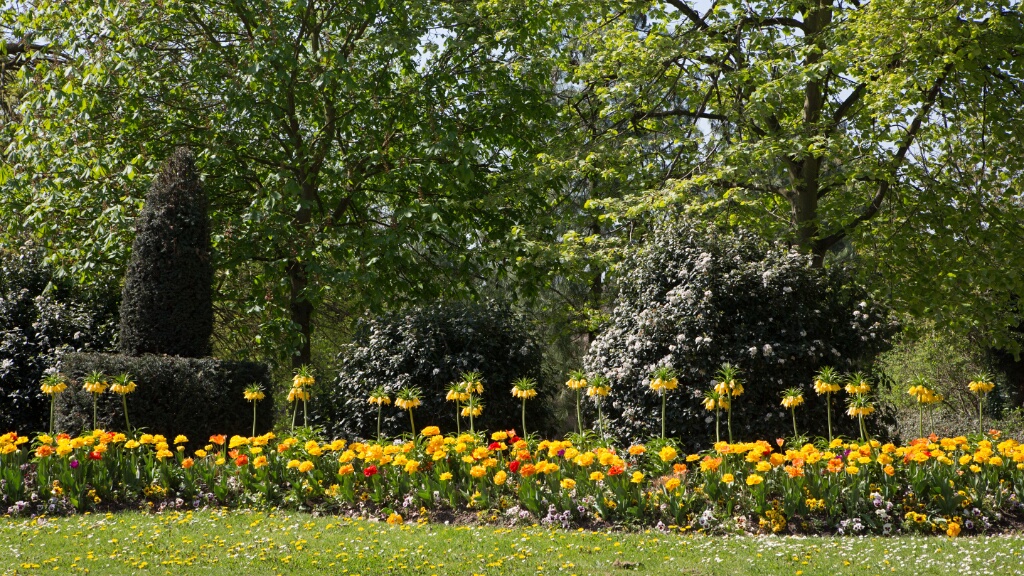 2013-04-25-124646-ville-fleurs-OK